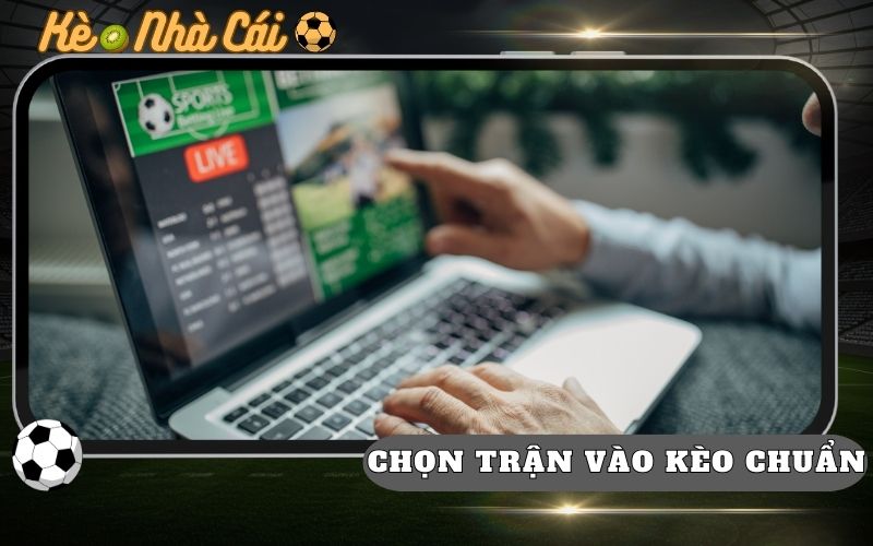4 Cach Chon Tran Dau Ngon De Vao Tien Hieu Qua