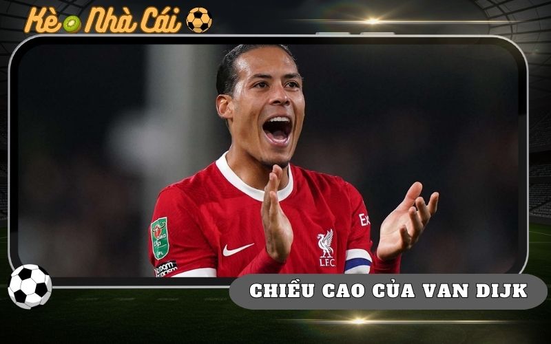 Virgil Van Dijk Cao Bao Nhiêu? Hé Lộ Thể Hình “Khổng Lồ” 45 Virgil Van Dijk Cao Bao Nhieu He Lo The Hinh Khong Lo