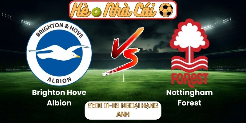 Soi kèo trận đấu Brighton Hove Albion vs Nottingham Forest (21:00 01-03, Ngoại hạng Anh)